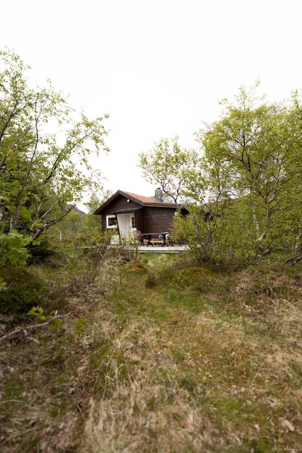 Haugteig Villa Lyngvaeret ภายนอก รูปภาพ